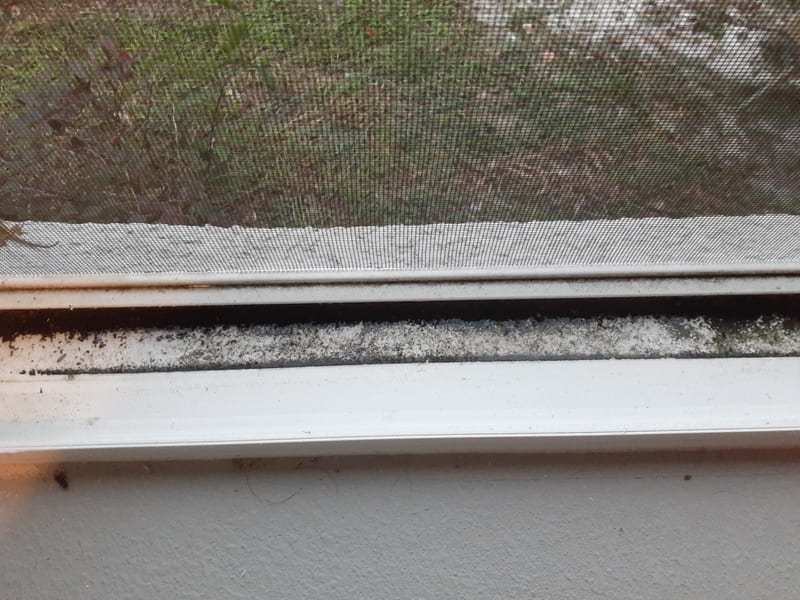 Window Needing to be Cleaned in Volusia County, FL and Seminole County, FL | Yanivet Cleaning Services